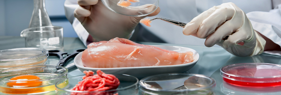 Food Safety Testing